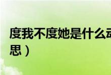 度我不度她是什么動(dòng)畫（度我不度她是什么意思）