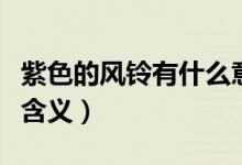 紫色的風(fēng)鈴有什么意義嗎（送紫色風(fēng)鈴有什么含義）