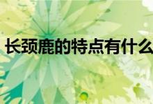 長頸鹿的特點有什么（長頸鹿的特點和本領(lǐng)）