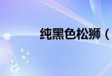 純黑色松獅（松獅有黑色的嗎）