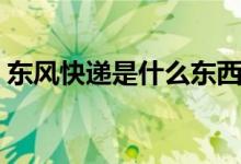 東風(fēng)快遞是什么東西（東風(fēng)快遞是什么意思）