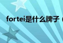 fortei是什么牌子（給大家介紹這個品牌）
