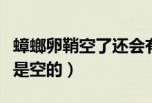 蟑螂卵鞘空了還會有蟑螂嗎（蟑螂的卵鞘為啥是空的）