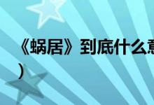 《蝸居》到底什么意思（電視劇蝸居劇情簡介）