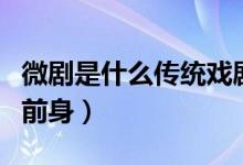 微劇是什么傳統(tǒng)戲?。ㄎ∈鞘裁磦鹘y(tǒng)戲劇的前身）