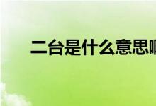 二臺(tái)是什么意思?。ǘ_(tái)是什么意思）