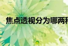 焦點(diǎn)透視分為哪兩種（焦點(diǎn)透視又叫什么）
