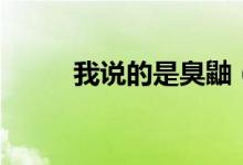 我說(shuō)的是臭鼬（臭鼬說(shuō)車什么梗）