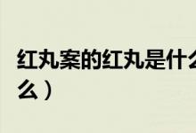 紅丸案的紅丸是什么成分（紅丸案的紅丸是什么）