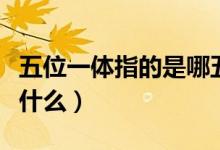 五位一體指的是哪五個(gè)方面（五位一體指的是什么）