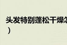 頭發(fā)特別蓬松干燥怎么辦（頭發(fā)特別蓬怎么辦）