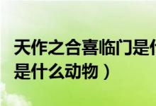 天作之合喜臨門是什么生肖（天作之合喜臨門是什么動物）