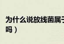 為什么說放線菌屬于細菌（放線菌不屬于細菌嗎）