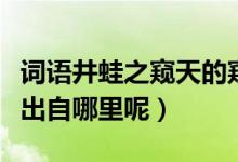 詞語井蛙之窺天的窺是什么意思（井蛙之窺天出自哪里呢）