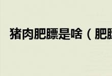 豬肉肥膘是啥（肥膘肉是指豬的哪個部分）