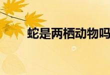 蛇是兩棲動物嗎（蛇是兩棲動物嗎）