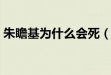 朱瞻基為什么會(huì)死（朱瞻基怎么死的那么早）