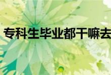 ?？粕厴I(yè)都干嘛去了（最好的出路是什么）