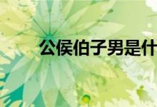 公侯伯子男是什么制度（等級順序）