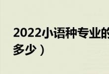 2022小語(yǔ)種專業(yè)的就業(yè)前景怎么樣（薪酬是多少）