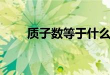 質(zhì)子數(shù)等于什么（質(zhì)子數(shù)等于什么）
