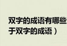 雙字的成語有哪些成語大全（雙組詞 還有關(guān)于雙字的成語）