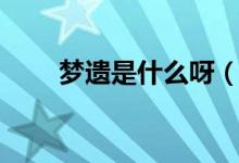 夢遺是什么呀（夢遺是什么意思?。?class=