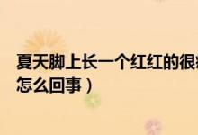 夏天腳上長一個紅紅的很癢是什么（夏天腳上長紅疙瘩很癢怎么回事）