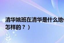 清華姚班在清華是什么地位（清華姚班是什么？選拔標準是怎樣的？）