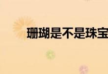 珊瑚是不是珠寶（珊瑚是不是生物）
