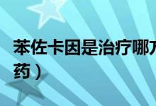 苯佐卡因是治療哪方面的藥（苯佐卡因是什么藥）