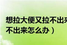 想拉大便又拉不出來是便秘嗎（想拉大便又拉不出來怎么辦）
