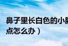 鼻子里長白色的小膿點(diǎn)（鼻子里長白色的小膿點(diǎn)怎么辦）