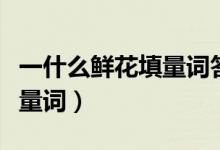 一什么鮮花填量詞答案要八個（一什么鮮花填量詞）