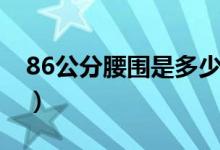 86公分腰圍是多少碼（86公分腰圍是多少尺）