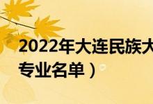 2022年大連民族大學有哪些專業(yè)（國家特色專業(yè)名單）