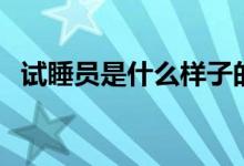 試睡員是什么樣子的（試睡員是什么工作）