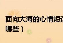 面向大海的心情短語（面向大海的心情短語有哪些）
