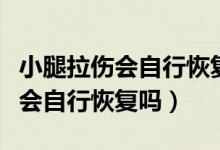 小腿拉傷會(huì)自行恢復(fù)嗎要多長(zhǎng)時(shí)間（小腿拉傷會(huì)自行恢復(fù)嗎）