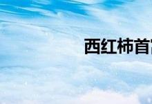 西紅柿首富女主角是誰