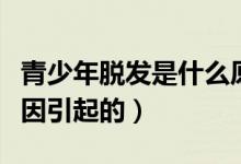 青少年脫發(fā)是什么原因（青少年脫發(fā)是什么原因引起的）
