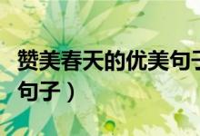 贊美春天的優(yōu)美句子有哪些（贊美春天的優(yōu)美句子）