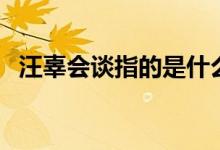 汪辜會(huì)談指的是什么（汪辜會(huì)談指的是誰）