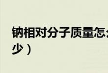 鈉相對分子質(zhì)量怎么算（n相對分子質(zhì)量是多少）
