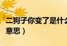 二狗子你變了是什么梗（二狗子你變了是什么意思）