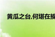 黃瓜之臺,何堪在摘（黃臺摘瓜什么意思）