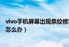 vivo手機(jī)屏幕出現(xiàn)條紋修復(fù)多少錢(qián)（vivo手機(jī)屏幕出現(xiàn)條紋怎么辦）