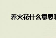 養(yǎng)火花什么意思啊（養(yǎng)火花什么意思）