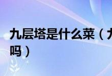 九層塔是什么菜（九層塔是什么樣的菜大陸有嗎）