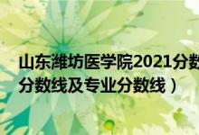 山東濰坊醫(yī)學院2021分數(shù)線(濰坊醫(yī)學院2021年各省錄取分數(shù)線及專業(yè)分數(shù)線)